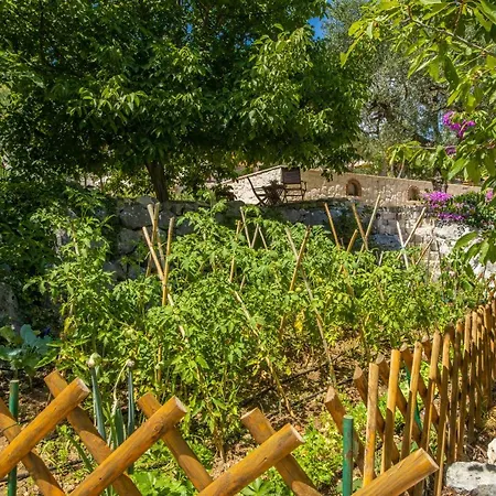 Etno House Wagner * Ploče